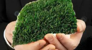 http://www.ognikuban.tw1.ru/wp-content/uploads/2017/09/zemelnyy622314532