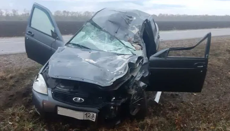 https://ognikubani.ru/wp-content/uploads/2020/11/krasnodar_t_650x433