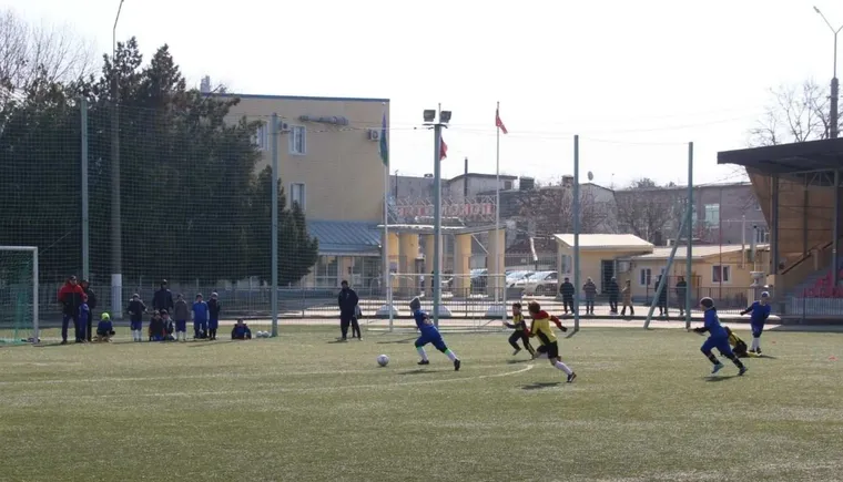 https://ognikubani.ru/wp-content/uploads/2022/03/ognikubani.ru-8-5