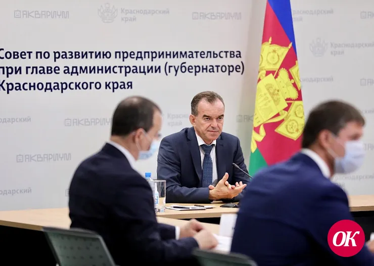 Предпринимателям Кубани смогут вернуть 100% затрат по переходу на интернет-торговлю