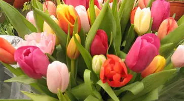 http://www.ognikuban.tw1.ru/wp-content/uploads/2017/03/dasket_wflowers_1zz