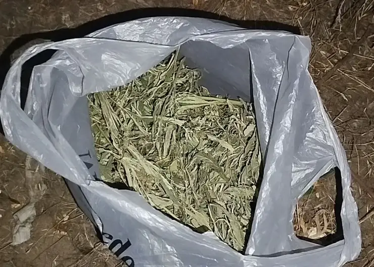 На САЙТ