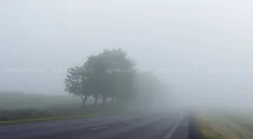 https://ognikubani.ru/wp-content/uploads/2020/02/tuman