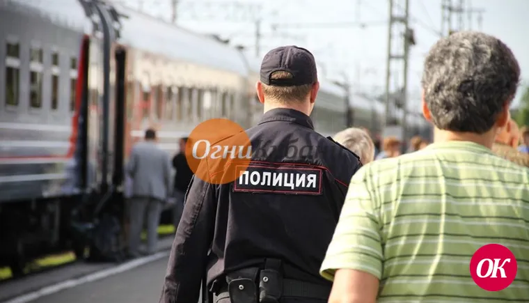 Транспортные полицейские привлекли к ответственности дебошира