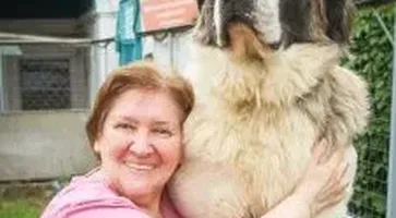 ea3022f0-ce44-453d-975f-b5c0cd8b0630 1