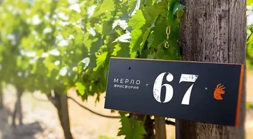 photo_2025-04-02_16-17-10