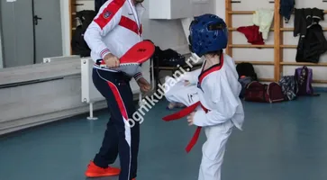 https://ognikubani.ru/wp-content/uploads/2019/11/IMG_6277