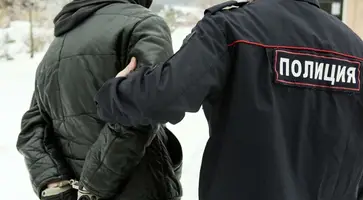 полиция задержала