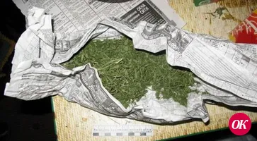 При обыске домовладения жителя поселка Возрождения обнаружена конопля