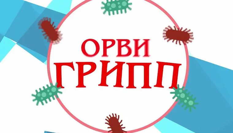 https://ognikubani.ru/wp-content/uploads/2020/09/1568179285_1