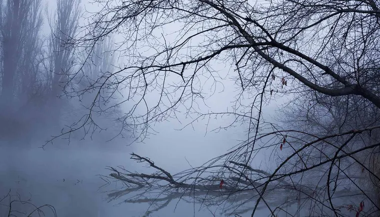 https://ognikubani.ru/wp-content/uploads/2020/12/MG_9867