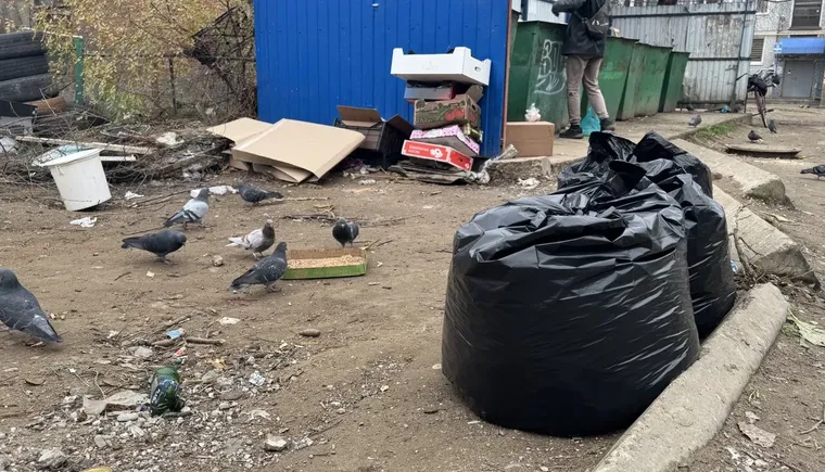 photo_5300746859343186820_y