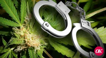 В Краснодарском крае транспортные полицейские изъяли у пассажирки поезда марихуану в крупном размере