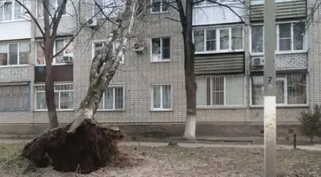 https://ognikubani.ru/wp-content/uploads/2022/03/ognikubani.ru-7-10