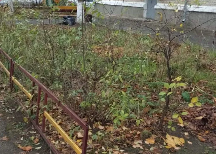 https://ognikubani.ru/wp-content/uploads/2021/11/ognikubani.ru-40