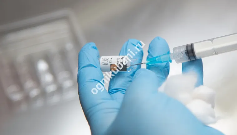 https://ognikubani.ru/wp-content/uploads/2019/10/373cd5e32a98053f85e668efd134d71b