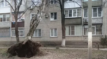 https://ognikubani.ru/wp-content/uploads/2022/03/ognikubani.ru-7-10