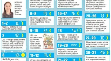 photo_2026-01-12_10-03-28