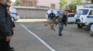 тренировка 1