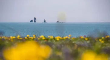 https://ognikubani.ru/wp-content/uploads/2022/05/ognikubani.ru-2-2