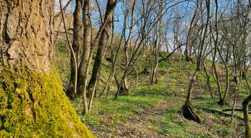 photo_5192973369534961770_y