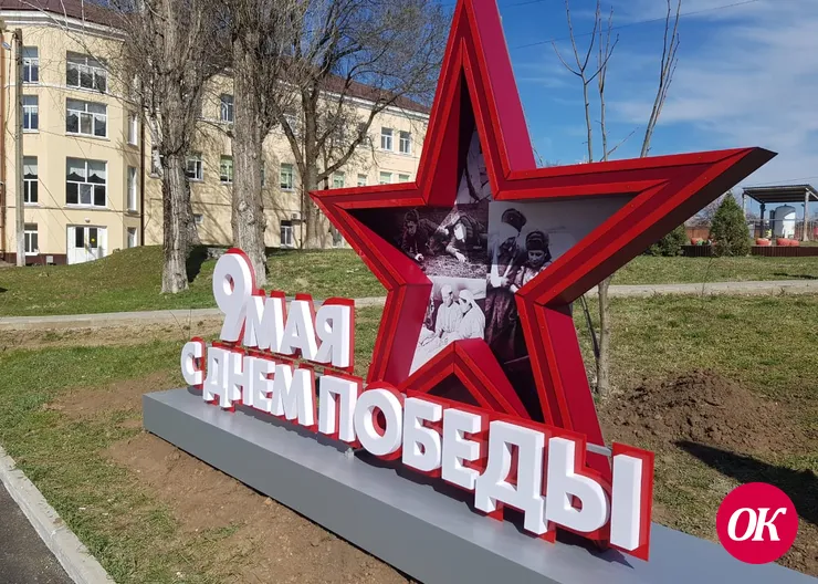 На территории городской больницы Кропоткина украдено три дерева Победы