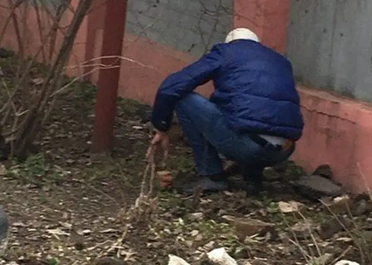 https://ognikubani.ru/wp-content/uploads/2022/11/16437339993470_1