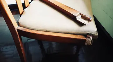 photo_5282770303786804377_y