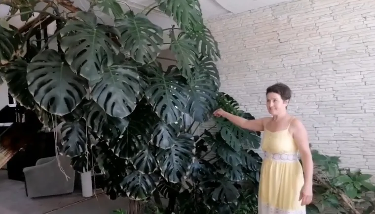 https://ognikubani.ru/wp-content/uploads/2020/09/118504617_184538039775528_7388415967565272511_n.mp4_snapshot_01.05.965