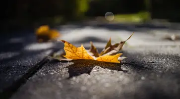 https://ognikubani.ru/wp-content/uploads/2023/10/d6e4977a75bd5f9
