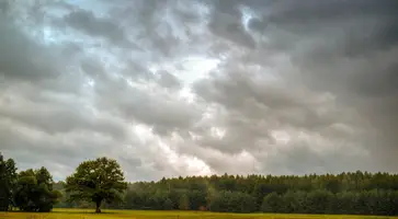 https://ognikubani.ru/wp-content/uploads/2023/10/ce514e400255344b8