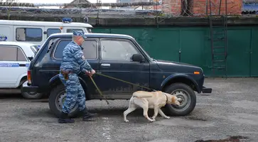 https://ognikubani.ru/wp-content/uploads/2022/06/кинологи-фото-1_1