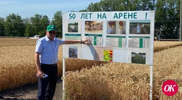 Жатва зерновых началась раньше обычного