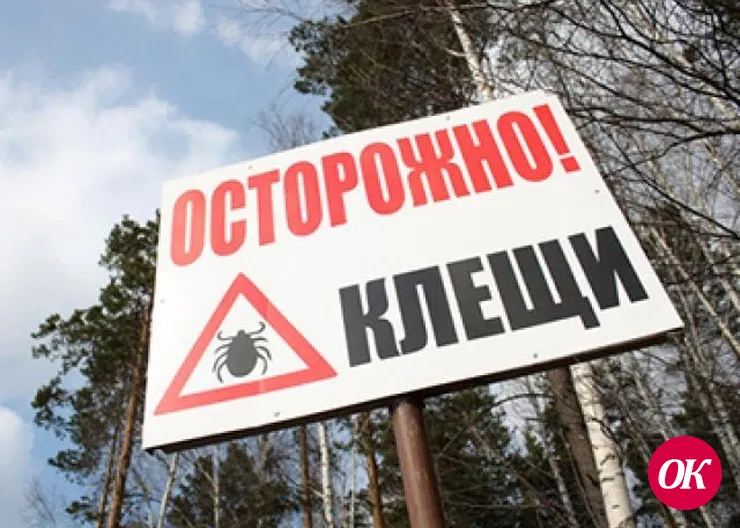 На Кубани более 230 человек пострадали от укусов клещей