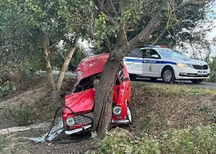 https://ognikubani.ru/wp-content/uploads/2023/10/photo_5276091170080018086_x