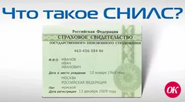Как получить СНИЛС