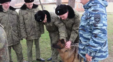 Кадеты пес и дети