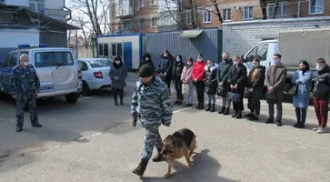 https://ognikubani.ru/wp-content/uploads/2022/03/ognikubani.ru-5-9