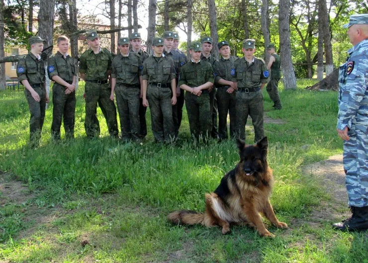 https://ognikubani.ru/wp-content/uploads/2021/05/ognikubani.ru-24