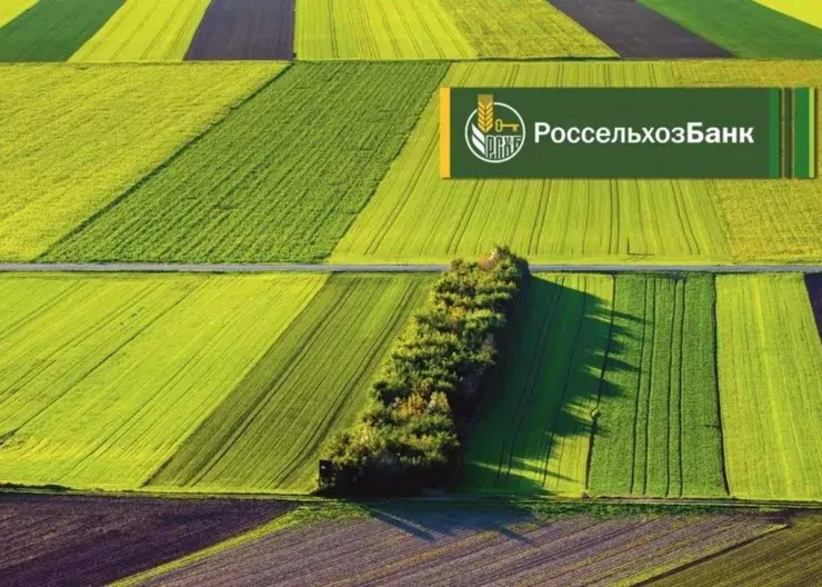 https://ognikubani.ru/wp-content/uploads/2022/02/ognikubani.ru-3-14