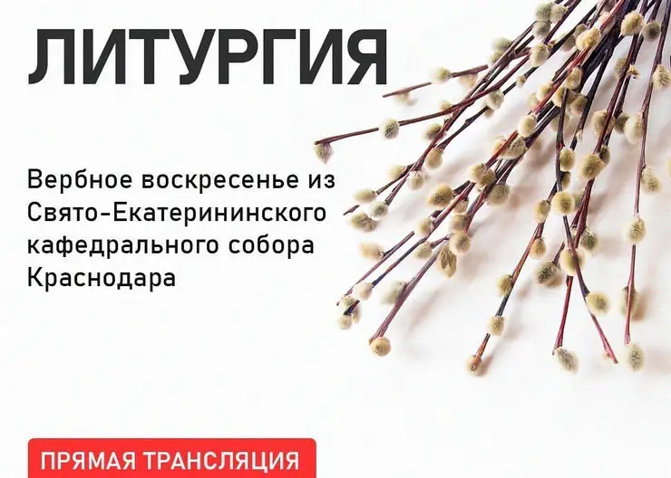 https://ognikubani.ru/wp-content/uploads/2020/04/92404684_2304312823005661_2391564242099727791_n