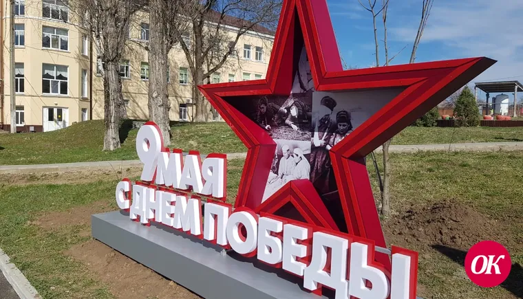 На территории городской больницы Кропоткина украдено три дерева Победы