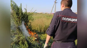 https://ognikubani.ru/wp-content/uploads/2021/08/ognikubani.ru-36