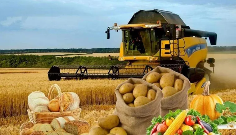 https://ognikubani.ru/wp-content/uploads/2021/10/ognikubani.ru-9-5