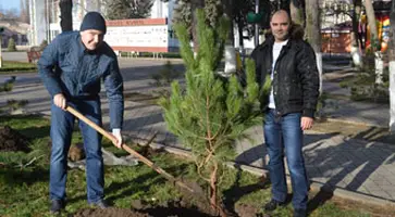 http://www.ognikuban.tw1.ru/wp-content/uploads/2015/12/DSC_0137zeleneyut