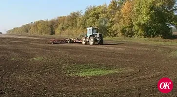 Погоде сев озимых не отменить