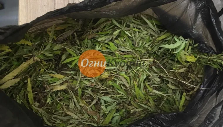 https://ognikubani.ru/wp-content/uploads/2019/10/img-20191001-wa0001