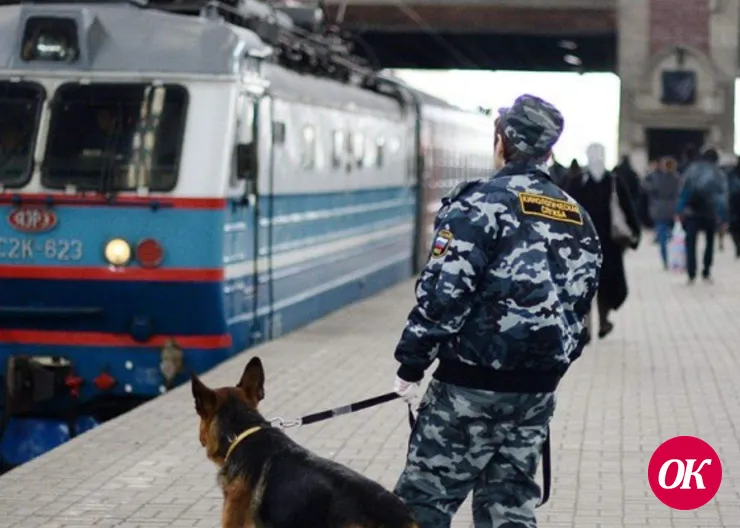 Вынесен приговор женщине, перевозившей в поезде героин