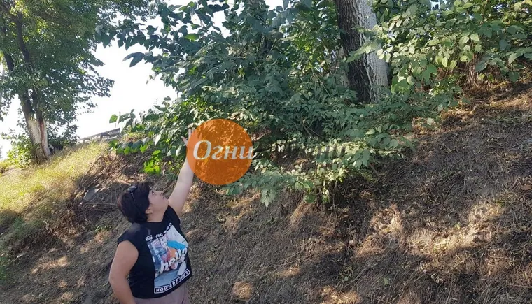 https://ognikubani.ru/wp-content/uploads/2019/09/WhatsApp-Image-2019-09-10-at-10.04.12