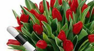 http://www.ognikuban.tw1.ru/wp-content/uploads/2015/07/i123_ss